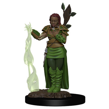 D&D: IR: Prem: Human Female Druid